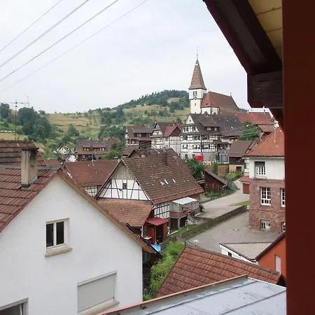 Landgasthof Gruner Baum Reichental Hotel *