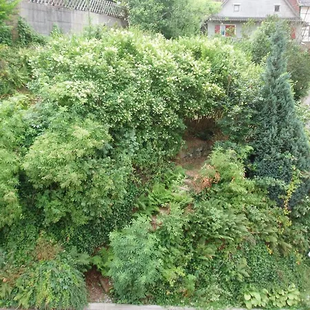 Landgasthof Gruner Baum Reichental * Gernsbach