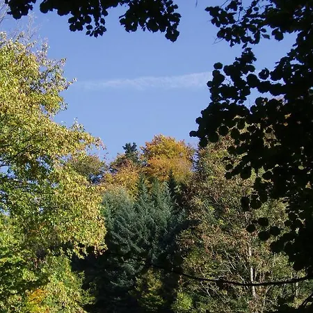 Landgasthof Gruner Baum Reichental *